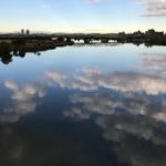 新荒川大橋と水面と鳥
